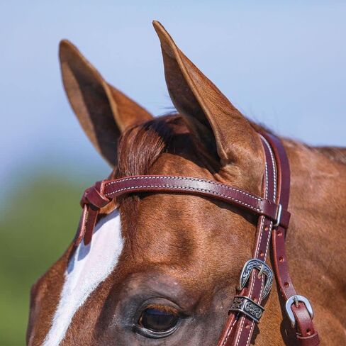 شنايدرز Double S Latigo Lined Futurity Browband Headstall | غطاء رأس الحصان الفاخر | بطانة لاتيجو ناعمة | حجم قابل للتعديل | حزام جلدي متين in Saudi Arabia