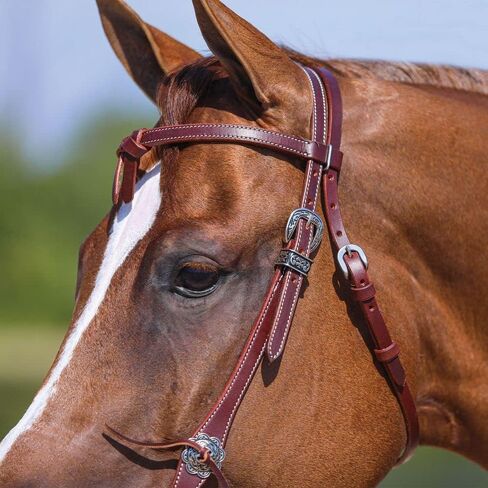 شنايدرز Double S Latigo Lined Futurity Browband Headstall | غطاء رأس الحصان الفاخر | بطانة لاتيجو ناعمة | حجم قابل للتعديل | حزام جلدي متين in Saudi Arabia