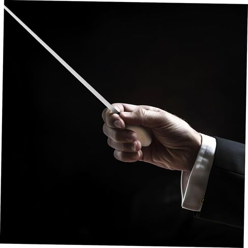 عصا توصيل احترافية بمقبض من الخشب الصلب لمديري الموسيقى وقادة السمفونية وموصلات الكورال، قبضة متينة ومريحة للتحكم الدقيق في الموسيقى in Kuwait