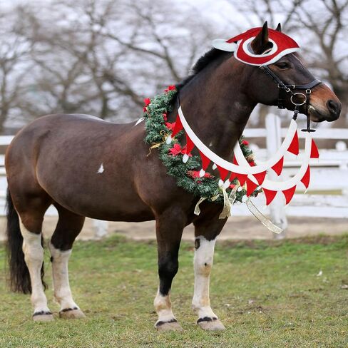 3 Pcs Chrismas Rein Cover Set Including 1 Pcs Horse Christmas Santa Cap and 2 Horse Rein Cover,Xmas Holiday Horse Santa Costume Accessories for Xmas Parade in Saudi Arabia