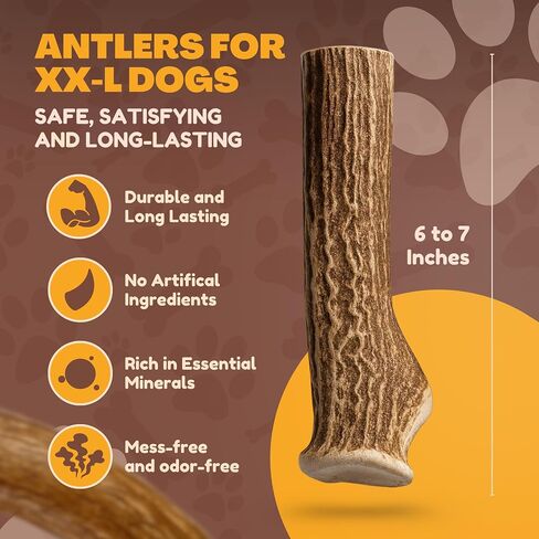 Whitetail Naturals - مضغ كلب قرن قرون صعب - قرن الغزلان المحور للكلاب (2 عبوة -XL) عظام طبيعية متينة للمضغ العدواني | صنعت أمريكا قرن الوعل in Kuwait