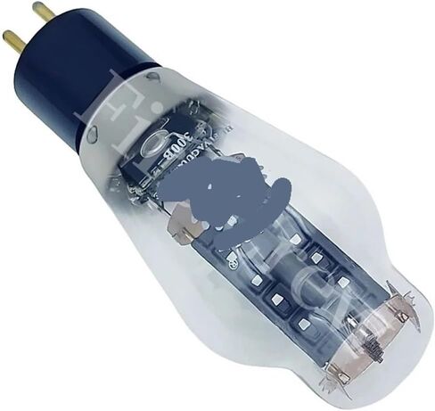 300B أنبوب يستبدل 300BN 300BT PX300B WE300B 7300B 4300B HiFi الصوت مُضخّم صوت (2 قطعة مقعد أبيض) in Kuwait