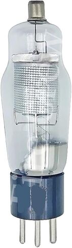 WE310A Vacuum Tube 1:1 310A Suitable for HiFi Audio Tube Amplifier DIY Matching Four-Way(2pcs Matched Pair) in Kuwait