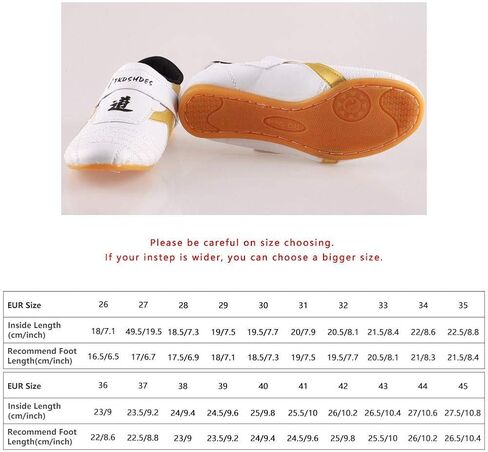 Taekwondo Shoes, Dilwe PU Leather Soft Sole Taekwondo Shoes for Taichi Gym Training (40) in Saudi Arabia