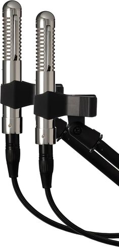 Warm Audio WA-2FT Fen-Tone Instrument Ribbon Microphone with Selectable in-Line Preamp - Stereo Pair in Saudi Arabia