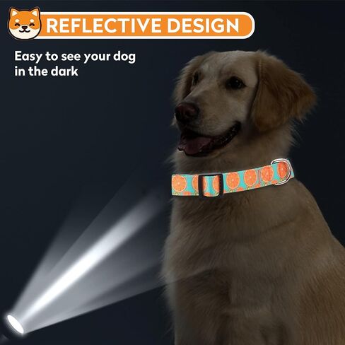 Reflective Dog Collar, Adjustable Soft Neoprene Padded Nylon Pet Collars with Buckle for Extra Large Dogs, Red,XL in Saudi Arabia