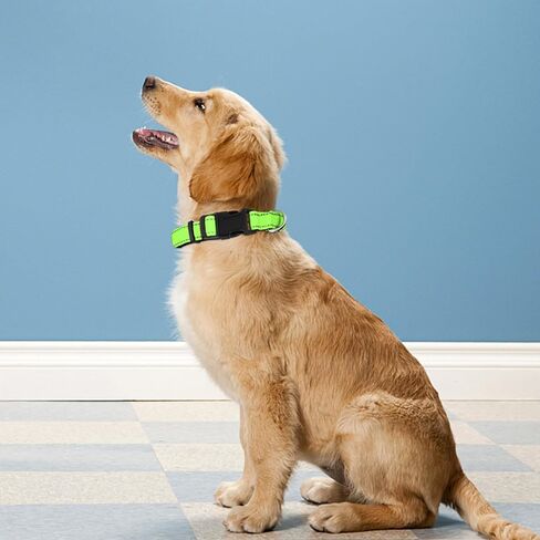 Reflective Dog Collar, Adjustable Soft Neoprene Padded Nylon Pet Collars with Buckle for Extra Large Dogs, Red,XL in Saudi Arabia