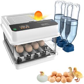 eLabPal 12 حاضنة بيض لتفريخ البيض مع دوران البيض تلقائيًا، وإضافة الماء تلقائيًا، وشموع البيض، والتحكم في درجة الحرارة لتفريخ الدجاج والسمان والبط وبيض الطيور التركية in Kuwait