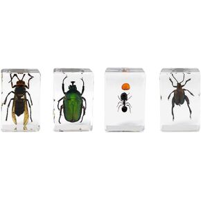 Celestron – Real 3D Bugs in Clear Resin – 4pc Set Includes Wasp, Ant, Chafer, and Beetle Specimens – Perfect for Science Eduction and Classroom – Use with Digital and Stereo Microscopes