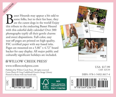 Willow Creek Press Basset Hounds Daily 2024 صندوق/تقويم مكتبي (5.86 بوصة × 4.72 بوصة) in Saudi Arabia