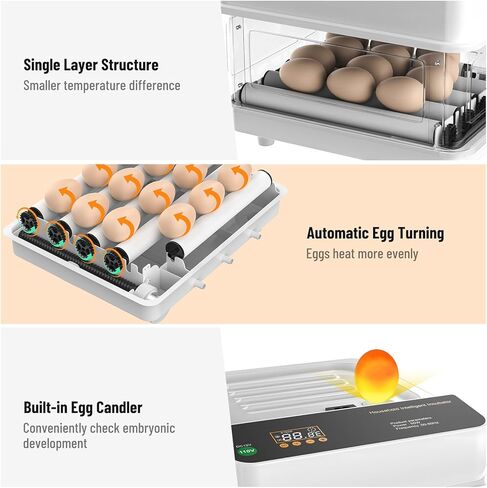 eLabPal 12 حاضنة بيض لتفريخ البيض مع دوران البيض تلقائيًا، وإضافة الماء تلقائيًا، وشموع البيض، والتحكم في درجة الحرارة لتفريخ الدجاج والسمان والبط وبيض الطيور التركية in Kuwait