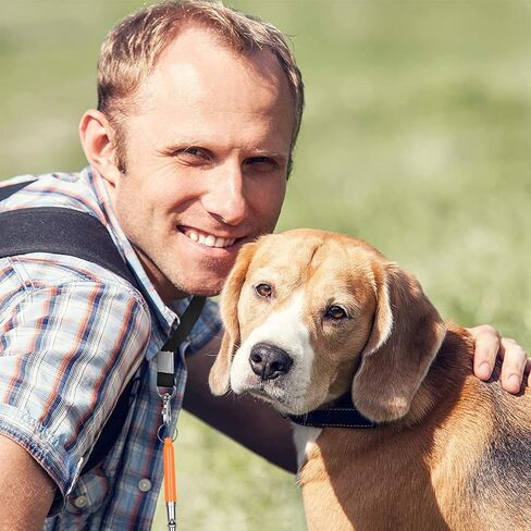 6 قطع من صفارة الكلاب بالموجات فوق الصوتية، صفارة كلب صامتة بالموجات فوق الصوتية مع حبل احترافي لاستدعاء الكلاب وإيقاف نباح الكلاب، صفارة تدريب للكلاب، مع حبل أسود وجهاز نقر (أسود + برتقالي) in Kuwait