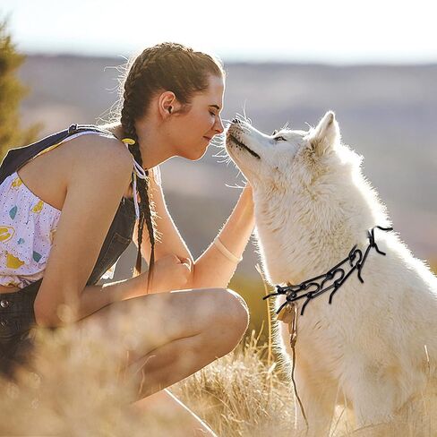 طوق الكلب وصلات إضافية 6 حزم من الفولاذ المطلي بالكروم وصلات طوق تدريب الكلاب بدون سحب وصلات إضافية سوداء طوق مسنن للكلاب 2.25/2.5 مم طوق قرصة من الفولاذ المقاوم للصدأ، 2.25 مم in Kuwait