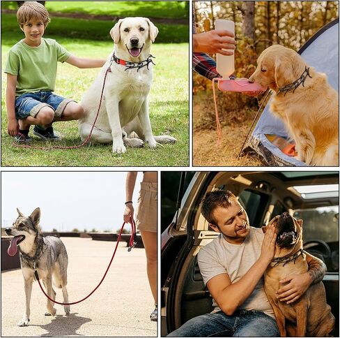 طوق الكلب وصلات إضافية 6 حزم من الفولاذ المطلي بالكروم وصلات طوق تدريب الكلاب بدون سحب وصلات إضافية سوداء طوق مسنن للكلاب 2.25/2.5 مم طوق قرصة من الفولاذ المقاوم للصدأ، 2.25 مم in Kuwait