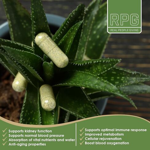 Acemannan RPG Aloe 250MG Capsules in Saudi Arabia