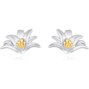 POPLYKE love earrings Sterling Silver stud earrings for women Infinity Heart Earrings in Saudi Arabia