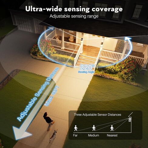 VIANIS 2 Packs Motion Sensor Outdoor Lights, Dusk to Dawn Outside Lights for House, Black Outdoor Light Fixture Sconce for House, Doorway, Entryway, Waterproof, Anti-Rust in Saudi Arabia