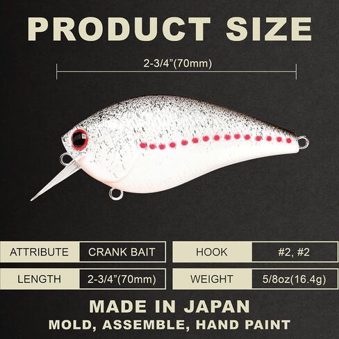 Lucky Craft LC 2.5 سحر الصيد الصامت Crankbait ، 2-3/8 "مربع بيل كرانكبايت ، سحر باس ، الطعم الثابت عمق 4 أقدام ، بطل معدات الصيد في المياه العذبة ومعالجة مربع الإكسسوارات in Kuwait