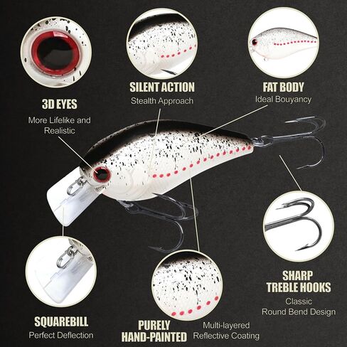 Lucky Craft LC 2.5 سحر الصيد الصامت Crankbait ، 2-3/8 "مربع بيل كرانكبايت ، سحر باس ، الطعم الثابت عمق 4 أقدام ، بطل معدات الصيد في المياه العذبة ومعالجة مربع الإكسسوارات in Kuwait