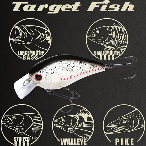 Lucky Craft LC 2.5 سحر الصيد الصامت Crankbait ، 2-3/8 "مربع بيل كرانكبايت ، سحر باس ، الطعم الثابت عمق 4 أقدام ، بطل معدات الصيد في المياه العذبة ومعالجة مربع الإكسسوارات in Kuwait