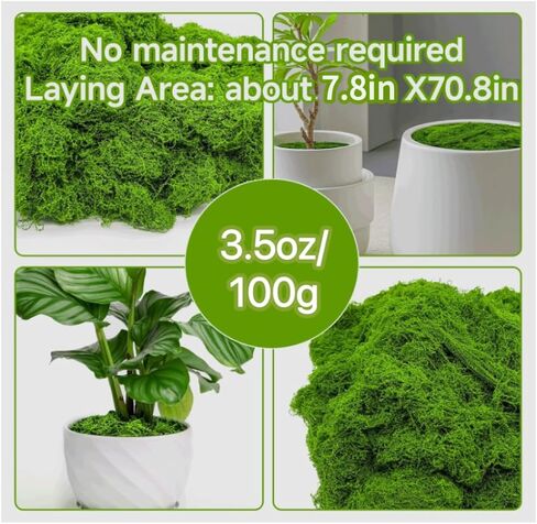 الطحلب الأخضر المزيف للنباتات المحفوظة بوعاء داخلي ، 10.6 أوقية طحلب اصطناعي للحرف اليدوية ، ديكور الطحلب المزيف للحديقة الخيالية ، ديكور ديي ، صنع النماذج ، الجدران ، الحاويات الزجاجية ، المنزل in Kuwait