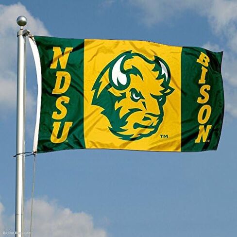 علم كلية NDSU بيسون in Saudi Arabia