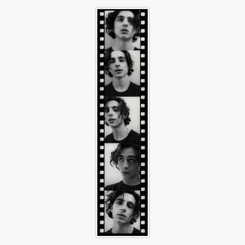 Timothé©E Chalamet المرجعية Photobooth ملصق الفينيل ملصق مضاد للماء ملصق سيارة محمول جدار نافذة ملصقات للسيارة متعددة الأشكال 5" in Saudi Arabia