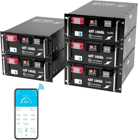 48V 100AH LIFEPO4 بطارية الليثيوم مع 200A BMS ، MAX. 10.240 كيلو واط ، 10000 دورة+ دورات ، بدلة للطاقة الشمسية ، الطاقة النسخ الاحتياطي ، خارج الشبكة in Kuwait