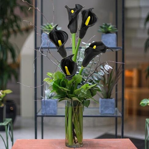 10pcs Calla Lily Flowers Flowers ، 26 "Touch Long Long Ste Faux Calla Lillies للمزهريات الطويلة ، ديكور منزل مكتب الزفاف الداخلي (أبيض) in Kuwait