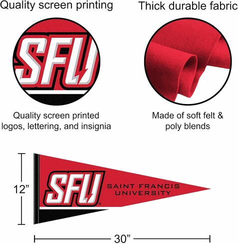 Saint Francis Red Flash Wordmark Pennant Flag in Saudi Arabia