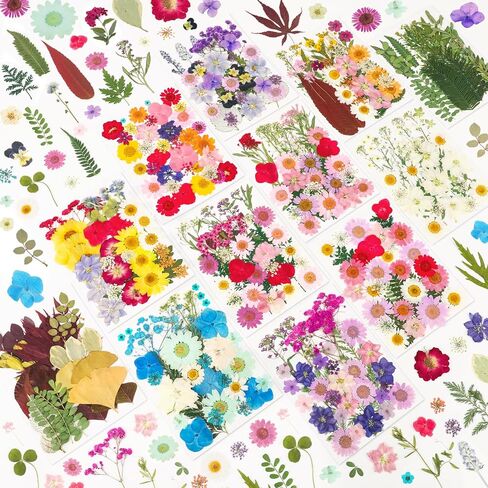210 Pcs Dried Pressed Flowers for Resin,Real Nature Dried Flowers for Crafts Bulk Dry Flowers Leaves Kit Used for Resin Molds Scrapbooking DIY Art Crafts Candle Soap Making Nails Décor in Saudi Arabia