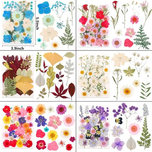 210 Pcs Dried Pressed Flowers for Resin,Real Nature Dried Flowers for Crafts Bulk Dry Flowers Leaves Kit Used for Resin Molds Scrapbooking DIY Art Crafts Candle Soap Making Nails Décor in Saudi Arabia