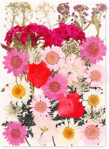 210 Pcs Dried Pressed Flowers for Resin,Real Nature Dried Flowers for Crafts Bulk Dry Flowers Leaves Kit Used for Resin Molds Scrapbooking DIY Art Crafts Candle Soap Making Nails Décor in Saudi Arabia