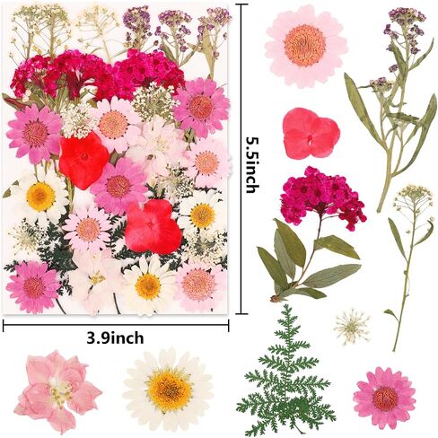 210 Pcs Dried Pressed Flowers for Resin,Real Nature Dried Flowers for Crafts Bulk Dry Flowers Leaves Kit Used for Resin Molds Scrapbooking DIY Art Crafts Candle Soap Making Nails Décor in Saudi Arabia