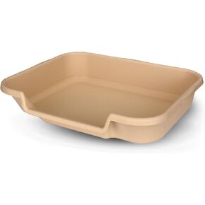 KittyGoHere Senior Cat Litter Box 1 Pack, Small Apple Green Low Entrance Kitty Litter Box, Sized for Cats Comfort, Perfect for Senior and Arthritic Cats, Made in USA