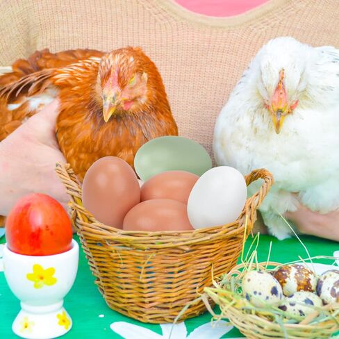 8 قطع من البيض الخشبي المزيف من BigOtters، بيض عيد الفصح الخشبي 3 ألوان بيض خشبي لصيد عيد الفصح والحرف اليدوية وتزيين اللوحة in Kuwait