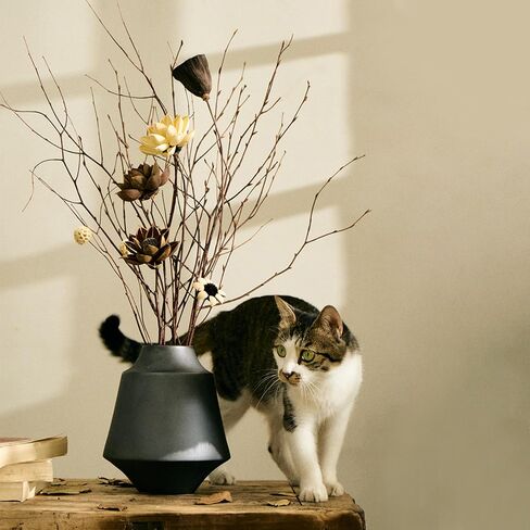 قرون اللوتس الطبيعية المجففة مع السيقان 20 '' السيقان الطويلة الاصطناعية تنبع قرون اللوتس الاصطناعية المجففة مع السيقان لحفل زفاف ديكور المنزل (5 مساءً كبيرة) in Kuwait