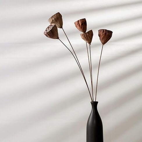 قرون اللوتس الطبيعية المجففة مع السيقان 20 '' السيقان الطويلة الاصطناعية تنبع قرون اللوتس الاصطناعية المجففة مع السيقان لحفل زفاف ديكور المنزل (5 مساءً كبيرة) in Kuwait