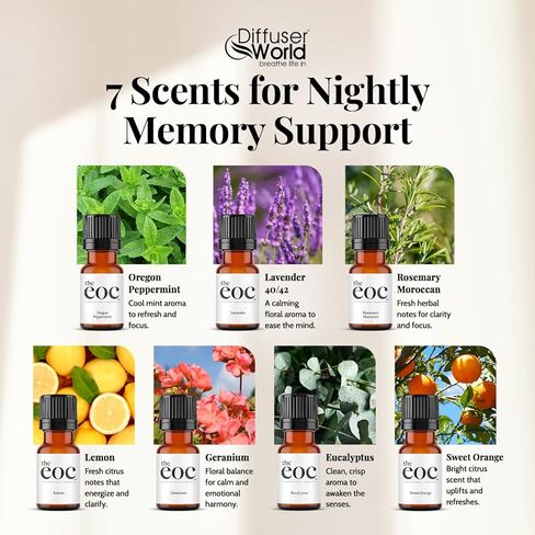 ناشر الزيت العطري في رائحة الرائحة المنزلية-100V-240V الناشرات العطرية المحمولة والمعاملة المائية مع توقيت رقمي ، ناشر البخار ، ناشر الهواء لزجاج المنزل in Kuwait