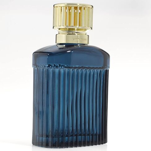 Maison Berger Model ALPHA DUSFUSER (Black) - جهاز تنقية الهواء وموزع الرائحة المنزلية - مجموعة هدايا مع فتيل القطن ، الغطاء الفضي ، قمع - لا يوجد زيت مشمل - 6.7 × 3.7x2.2 بوصة in Saudi Arabia