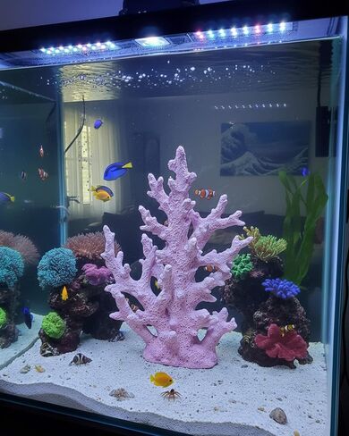 Lifelike Coral Reef Sculpture Statue - Handmade Resin Ocean Decor for Aquarium, Desk, Bathroom, Shelf - Coastal Beach Nautical Theme Gift for Home & Office in Saudi Arabia