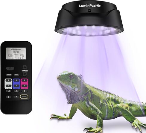 LED Reptiles Light with Remote, UVA UVB FR Lamp for Rainforest & Desert Reptiles, Ferguson Zones 1-4, Timer Switch, 10 Dimmable, for Bearded Dragon, Turtle, Frog, Snake, Plant (1 Pack) in Saudi Arabia