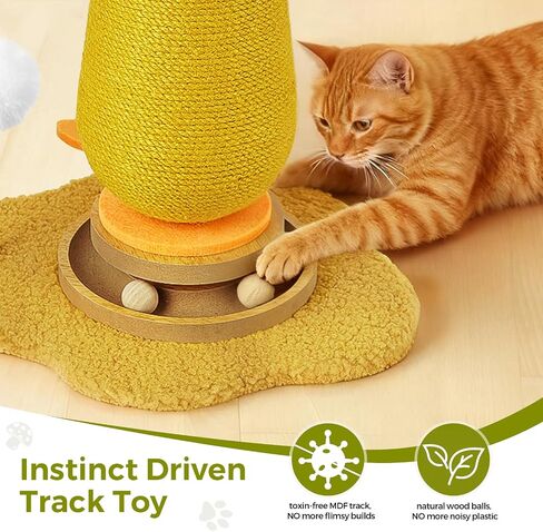 Post Scratching Post ، Scratchroom Cat Scratcher مع ألعاب Cat Spring Ball Spring Ball التفاعلية ، Post Sisal Cat Scratfer in Kuwait