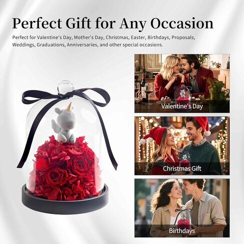 SEEROSE Preserved Rose with Cupid Bear in Glass Dome, Eternal Real Rose Romantic Gift for Her, Women, Mom, Wife, Girlfriend, Valentine’s Day, Mother’s Day, Christmas, Birthday (Cupid Bear, Red) in Saudi Arabia