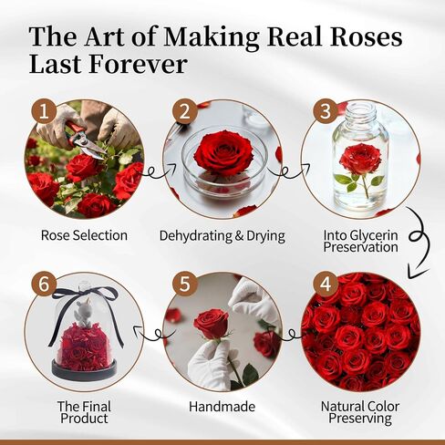 SEEROSE Preserved Rose with Cupid Bear in Glass Dome, Eternal Real Rose Romantic Gift for Her, Women, Mom, Wife, Girlfriend, Valentine’s Day, Mother’s Day, Christmas, Birthday (Cupid Bear, Red) in Saudi Arabia