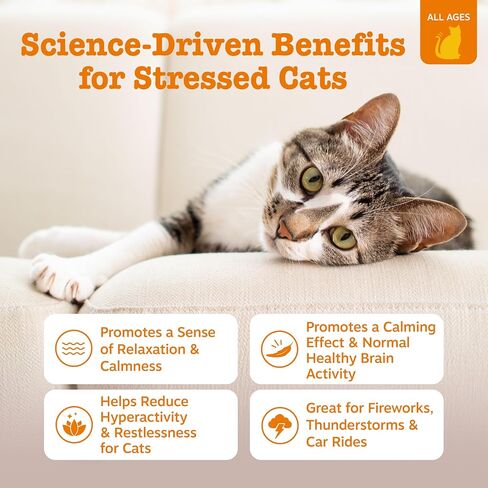 Zesty Paws 8-in-1 Multivitamin Cat Treats Lickables Mousse for Cats - Healthy Cat Treats for Indoor Cats - Cat Squeeze Up Daily Multivitamin for Gut, Immune, Heart, Skin & Coat Support - Chicken 3ct in Saudi Arabia