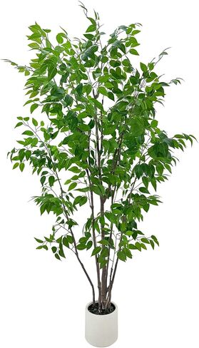 شجرة ficus الاصطناعية مع أوراق خضراء ، طولها 6 أقدام ، نبات داخلي مع زارع البيج الزخرفية in Kuwait