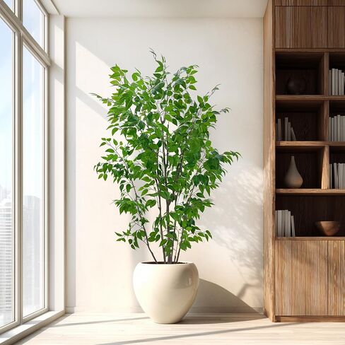 شجرة ficus الاصطناعية مع أوراق خضراء ، طولها 6 أقدام ، نبات داخلي مع زارع البيج الزخرفية in Kuwait