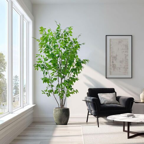 شجرة ficus الاصطناعية مع أوراق خضراء ، طولها 6 أقدام ، نبات داخلي مع زارع البيج الزخرفية in Kuwait