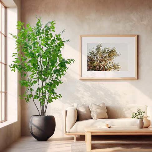 شجرة ficus الاصطناعية مع أوراق خضراء ، طولها 6 أقدام ، نبات داخلي مع زارع البيج الزخرفية in Kuwait